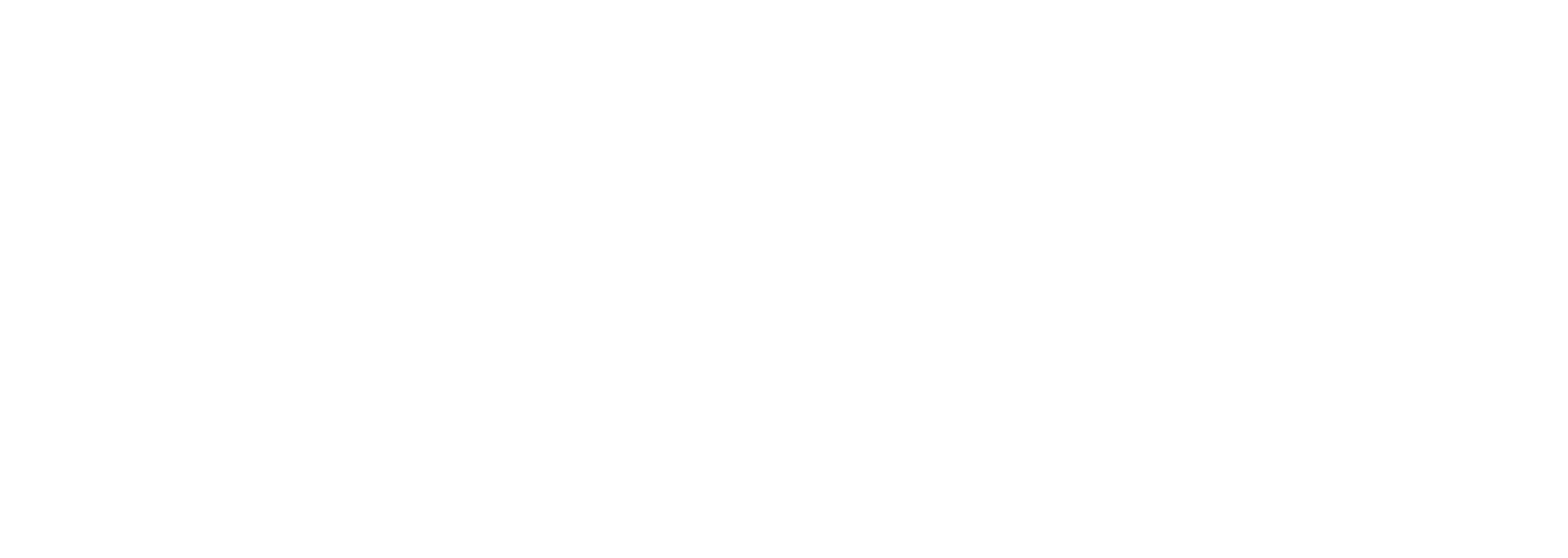 Collibra Partner